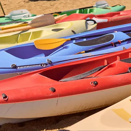 Sunny And Bright Beautiful