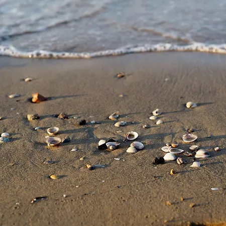 Sunny And Bright Beautiful 公寓 比比翁