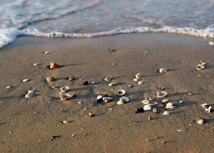 Sunny And Bright Beautiful 公寓 比比翁